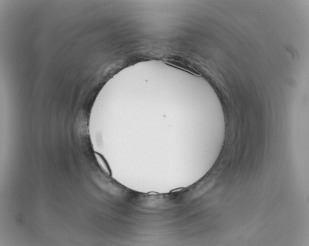 X0000111890384200908131700