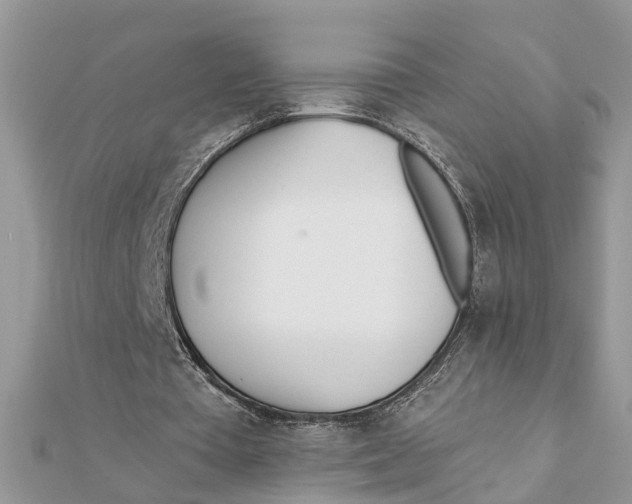 X0000111890385200908131659