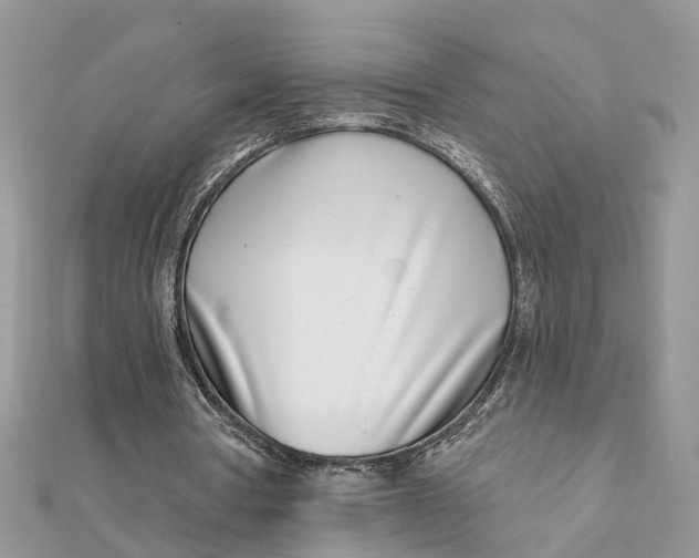 X0000111890386200908131659