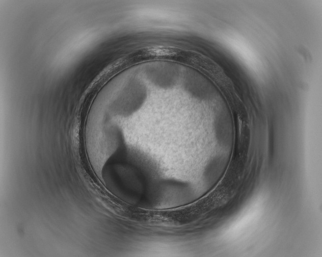 X0000111890387200908131659