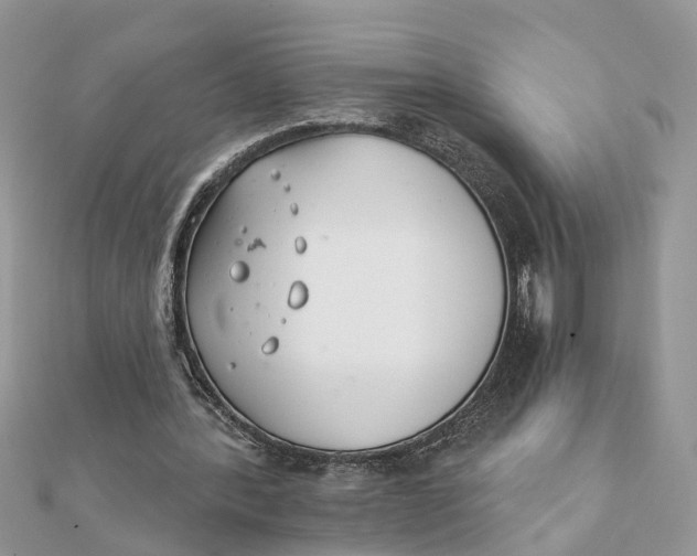 X0000111890388200908131659