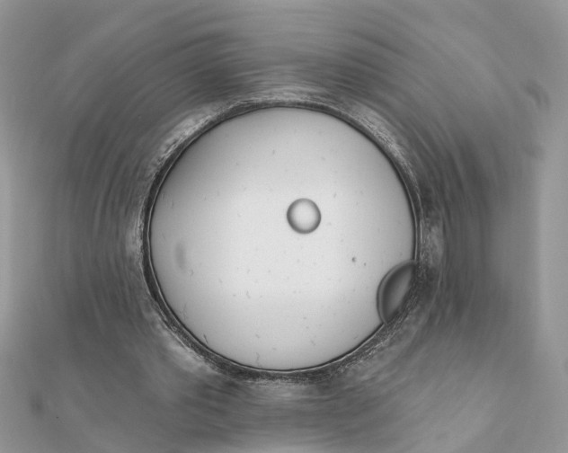 X0000111890389200908131659