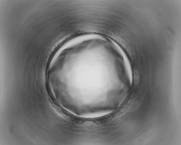 X0000111890390200908131659