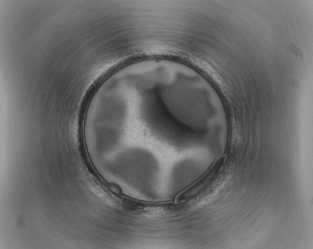 X0000111890391200908131659