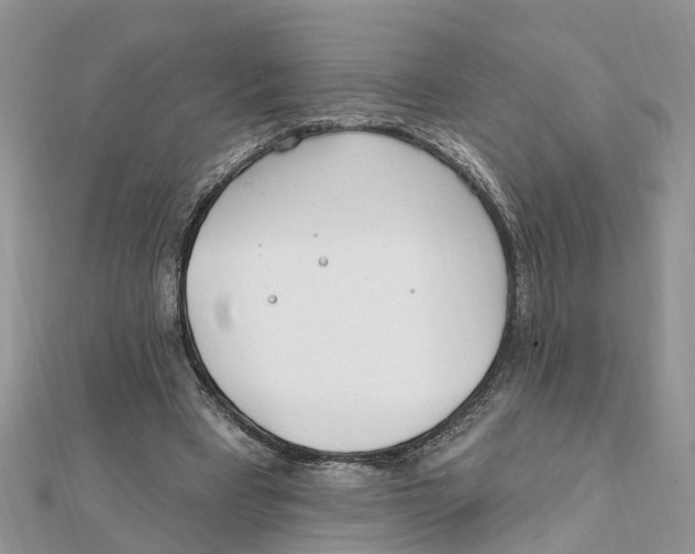 X0000111890393200908131659