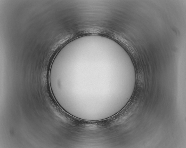 X0000111890394200908131659