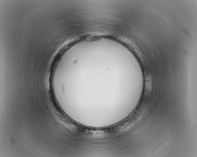 X0000111890395200908131659