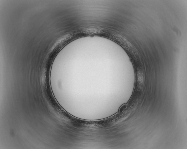 X0000111890396200908131659