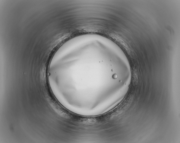 X0000111890398200908131659