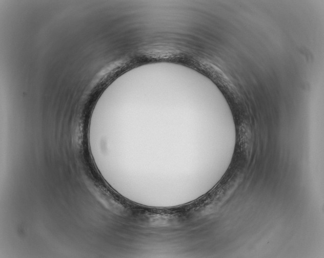 X0000111890400200908131659