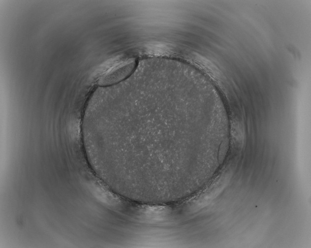 X0000111890401200908131659