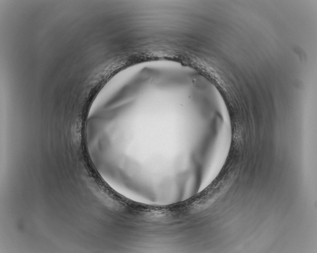 X0000111890402200908131659