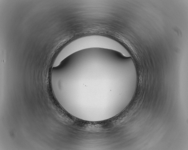 X0000111890403200908131659