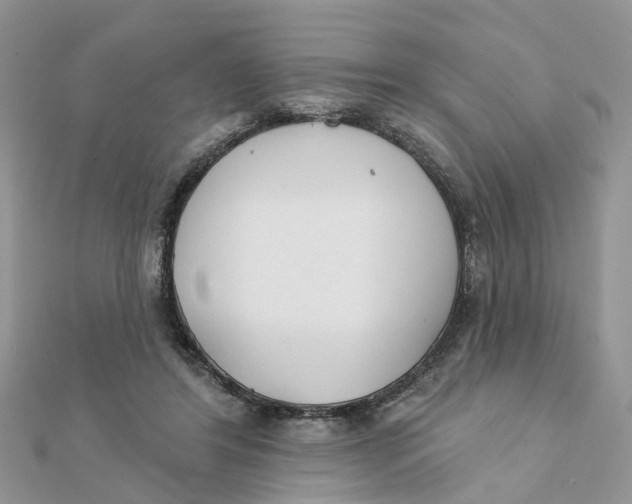 X0000111890404200908131659