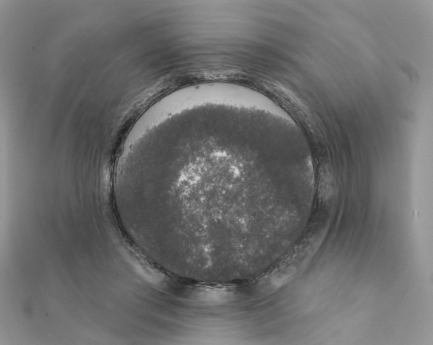 X0000111890405200908131659