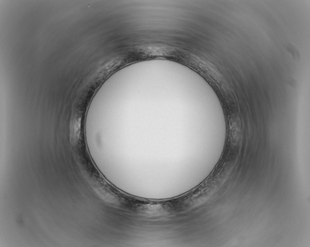 X0000111890406200908131659