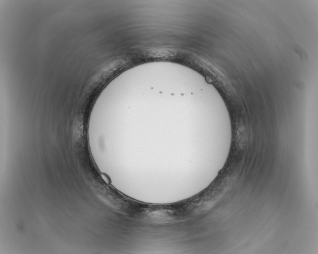 X0000111890407200908131659