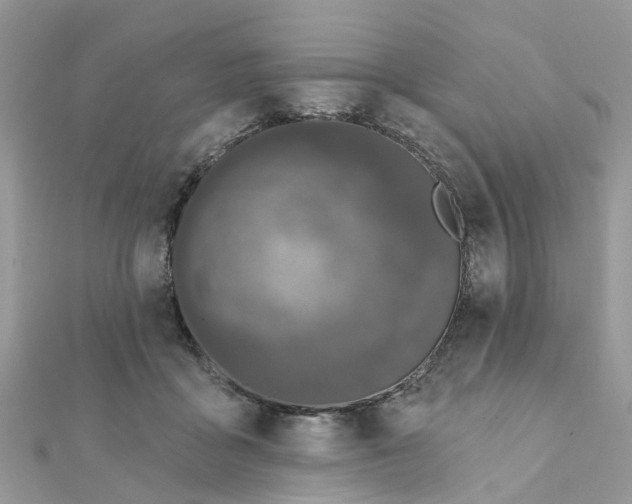 X0000111890411200908131659