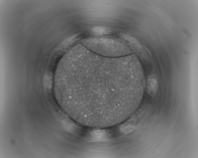 X0000111890413200908131659