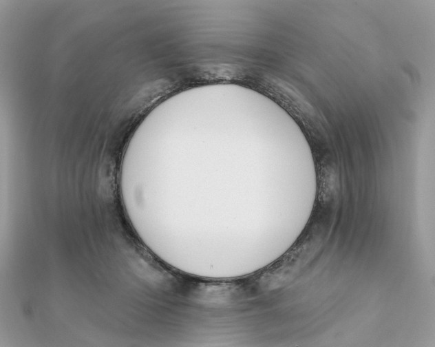 X0000111890414200908131659