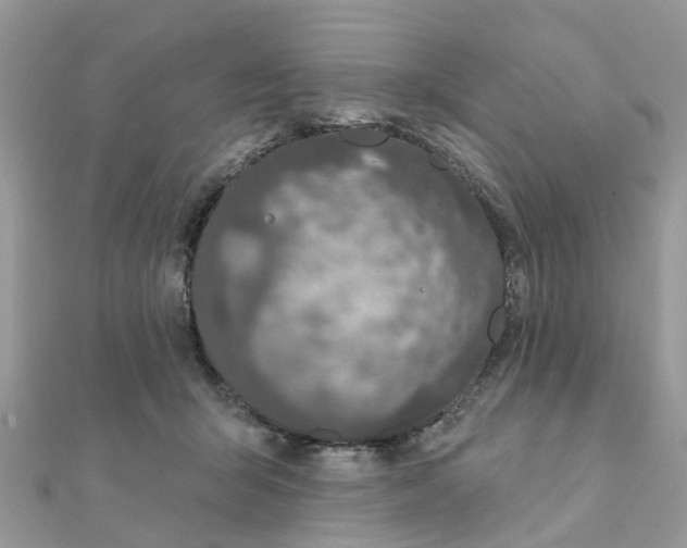 X0000111890415200908131659