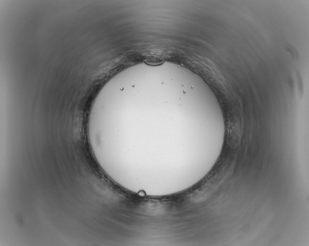 X0000111890416200908131659