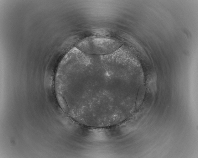 X0000111890417200908131659