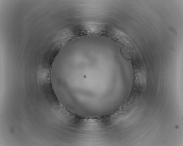 X0000111890419200908131659