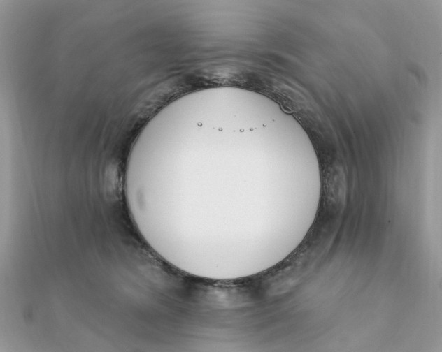 X0000111890420200908131659