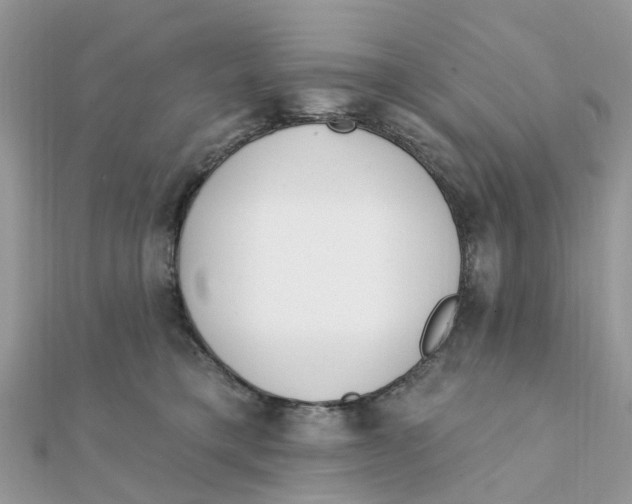 X0000111890421200908131659