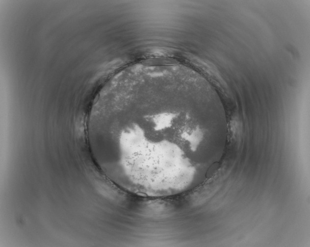 X0000111890423200908131659