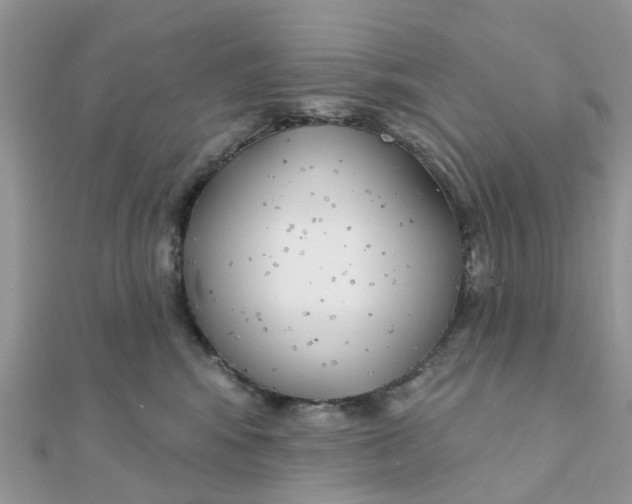 X0000111890424200908131659