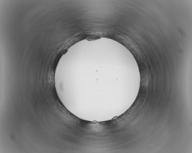 X0000111890425200908131659