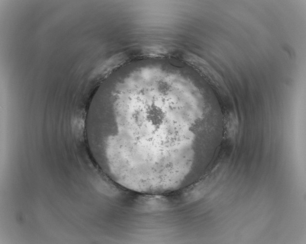 X0000111890427200908131659