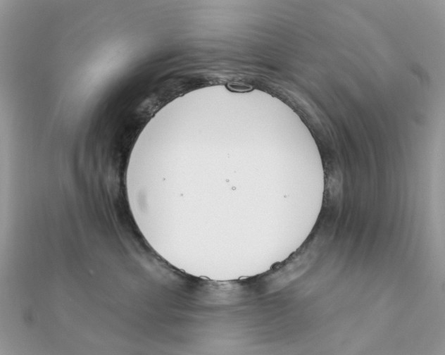 X0000111890429200908131659