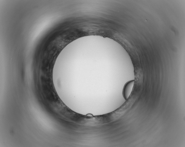 X0000111890430200908131659