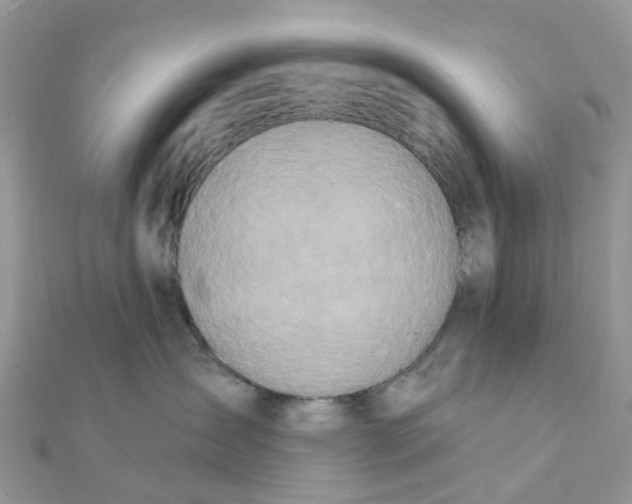 X0000111890431200908131659