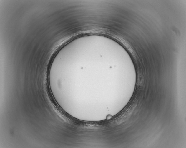 X0000111890437200908131658