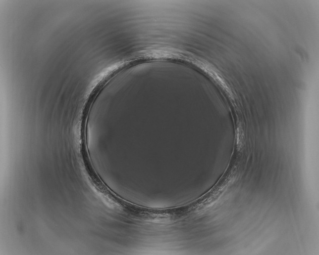 X0000111890438200908131658