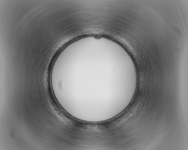 X0000111890439200908131658