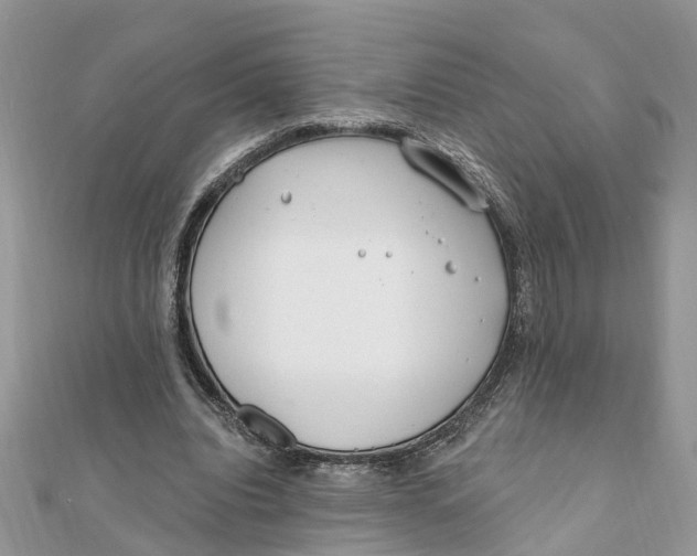 X0000111890440200908131658