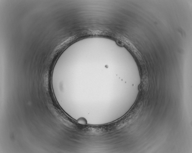 X0000111890442200908131658