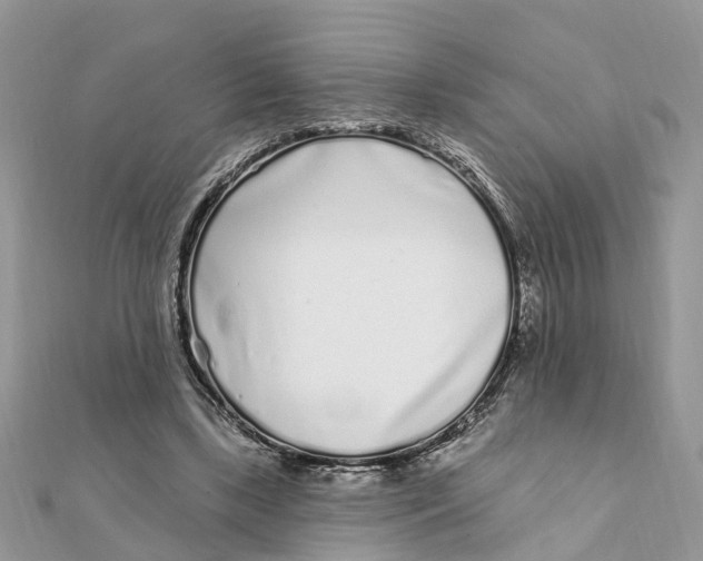 X0000111890443200908131658