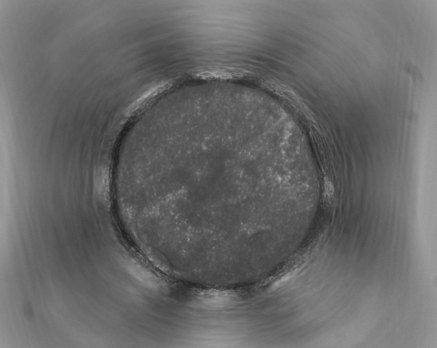 X0000111890444200908131658