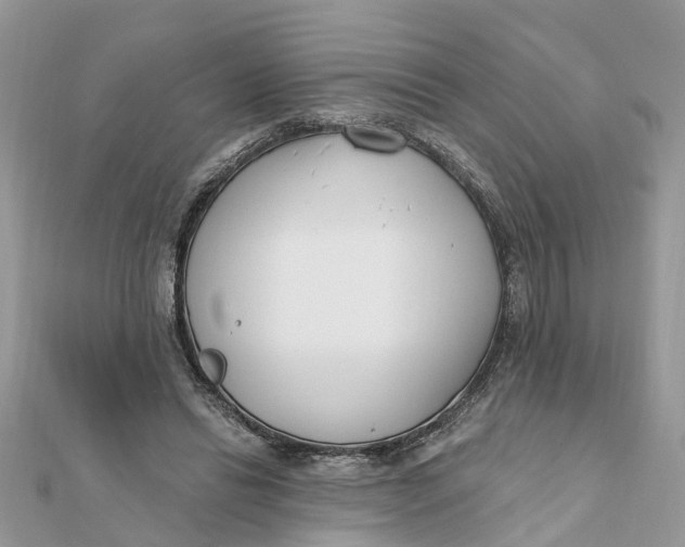 X0000111890446200908131658