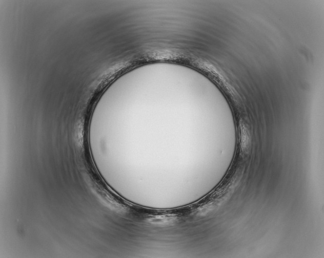 X0000111890447200908131658