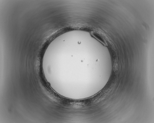 X0000111890448200908131658