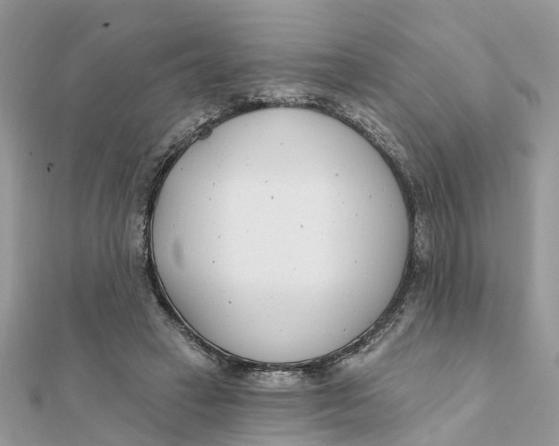 X0000111890449200908131658