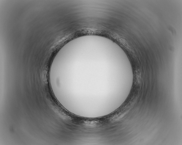 X0000111890450200908131658