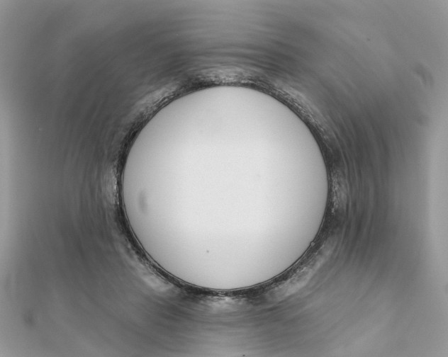 X0000111890453200908131658